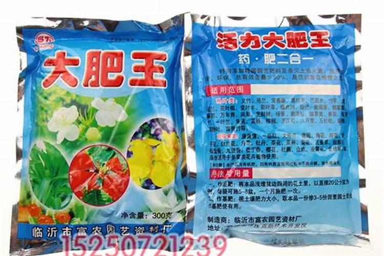 大肥王是什么肥料