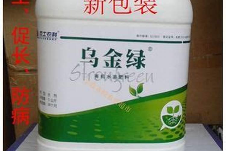 葫芦瓜叶片边缘发黄干边是怎么回事