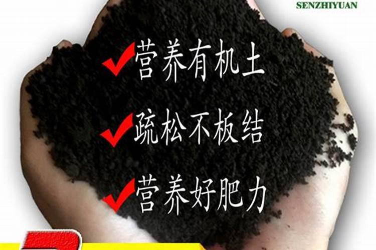 泥炭土和草炭土的区别是什么