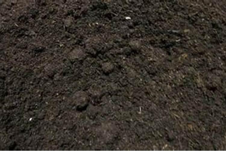 种花用什么土最好