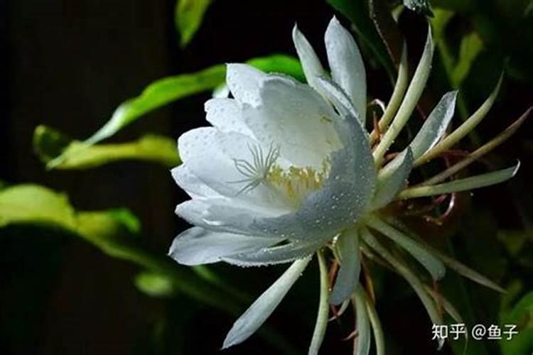 小麦的质量好坏主要看哪几个指标