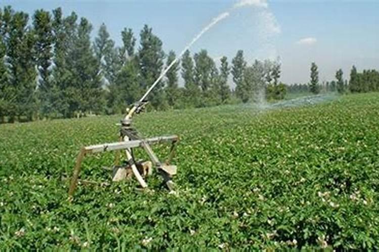 水溶肥是什么肥料 水溶性肥料的优缺点有哪些