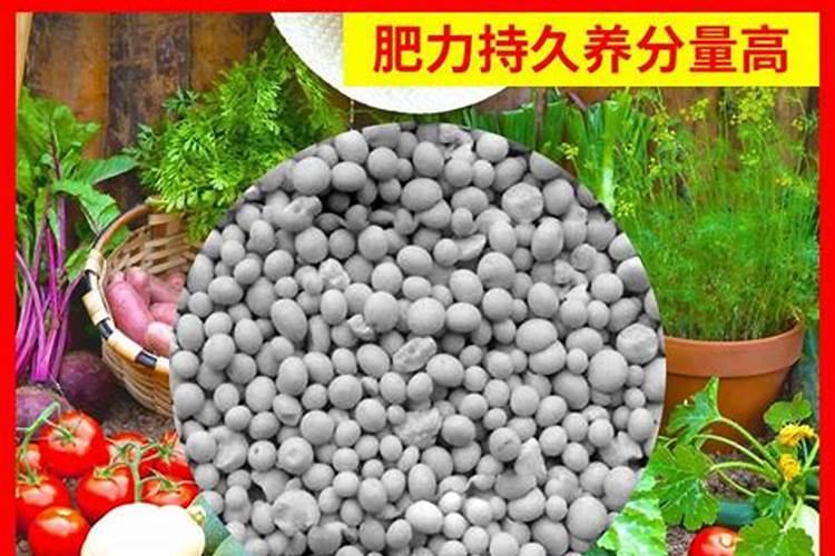 大豆面怎么处理可以浇花
