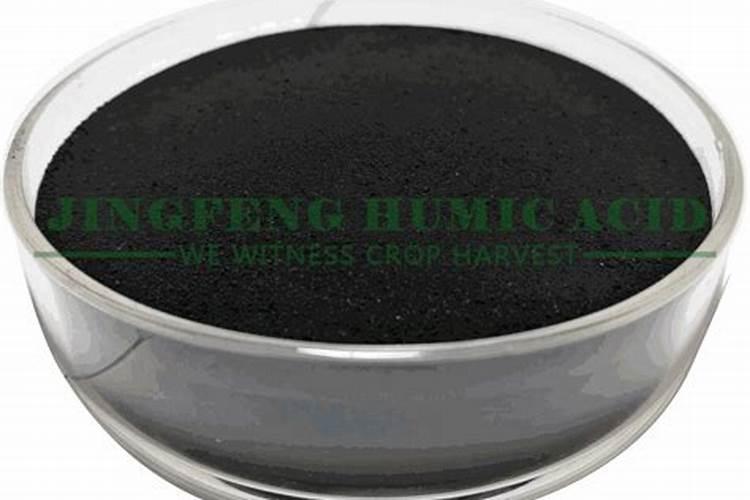 三角梅冬天还在发芽需要施肥吗,三角梅冬天怎样浇水施肥