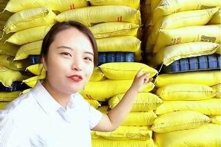 种菜用什么肥料好