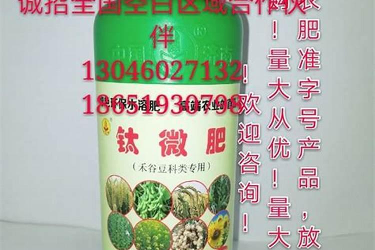 鱼蛋白对植物的作用 鱼类具有很高的营养价值