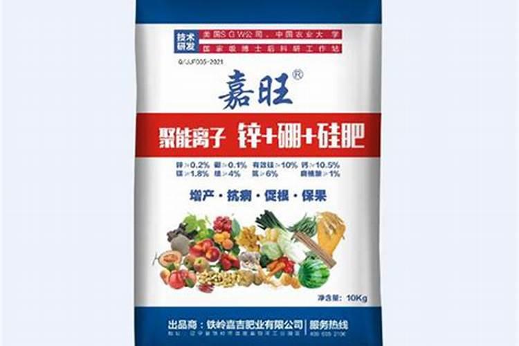 生姜怎样种植？