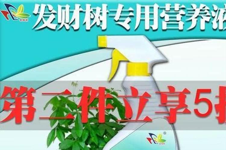 买花送的一小支绿色液体是啥