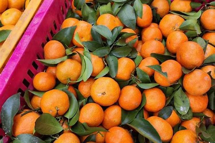 贺州特产有哪些