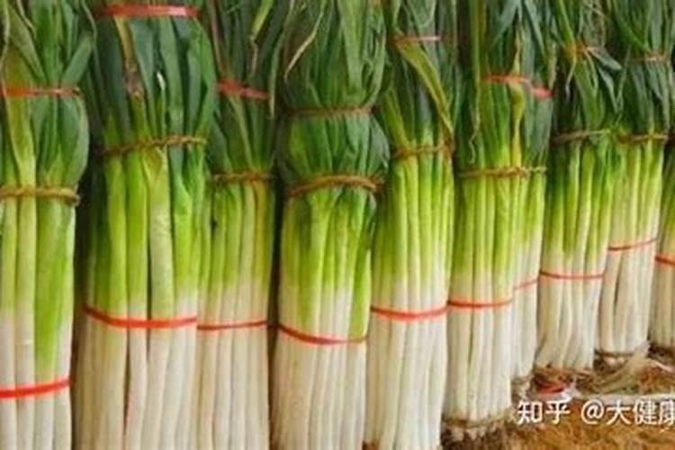 污水处理的工艺技术