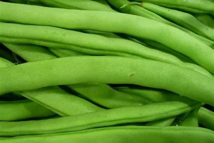 四季豆长起来了什么时候可以施肥？