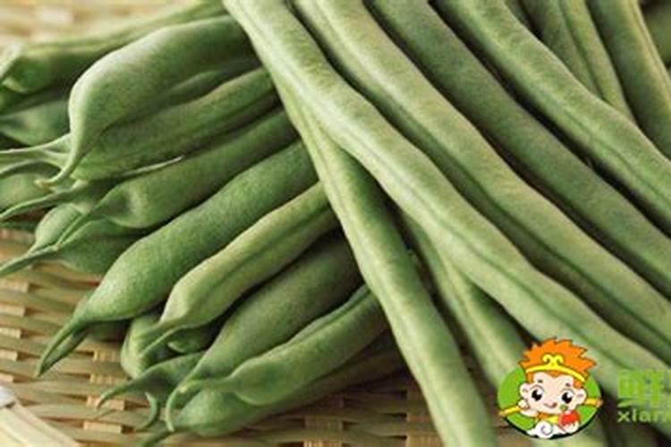 四季豆用什么肥料最好
