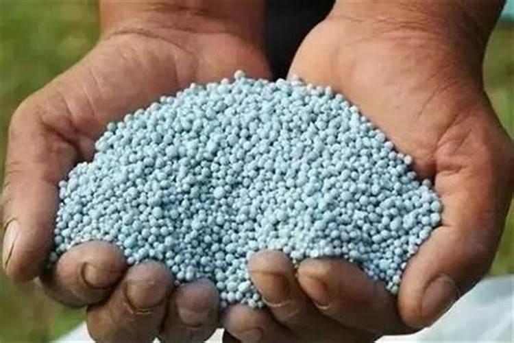 海底最深处有什么生物