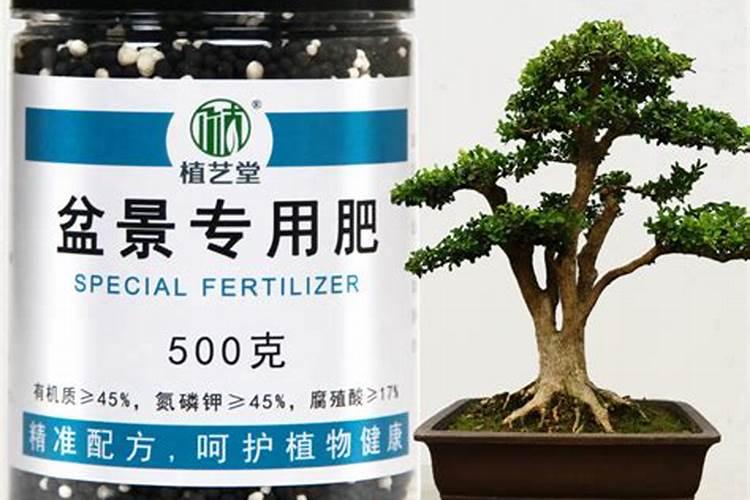 什么叶面肥使叶片变厚 什么叶面肥效果最好