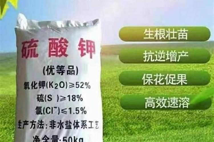 哪种钾肥最好(市面上常见都最好的钾肥是什么钾肥)