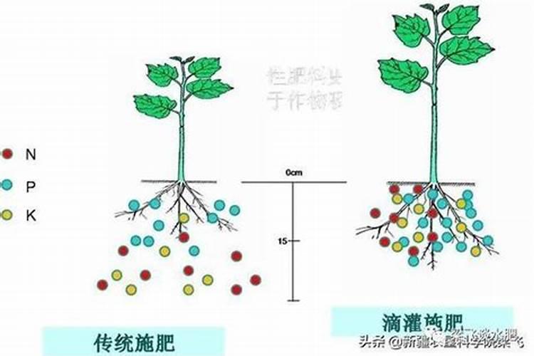 滴灌施肥的特点是什么？