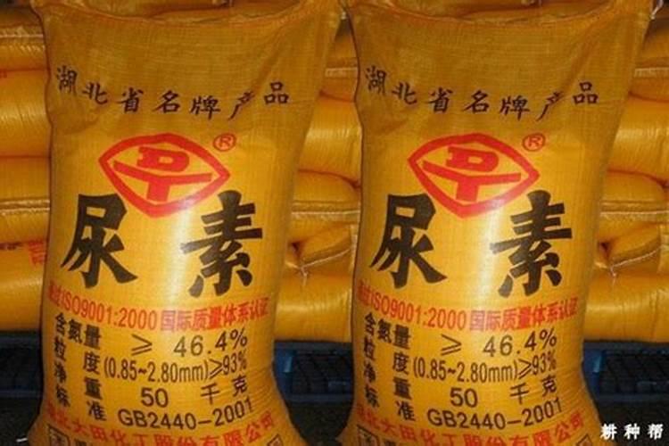 晚秋黄梨开花前施什么肥料,打什么药？