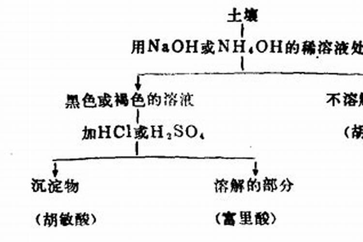 糖醇钙应该怎么去选择？