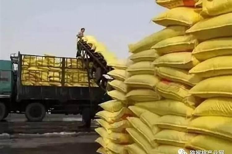 氧化钙和糖醇钙的区别