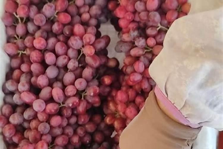 克伦生怎样红得快