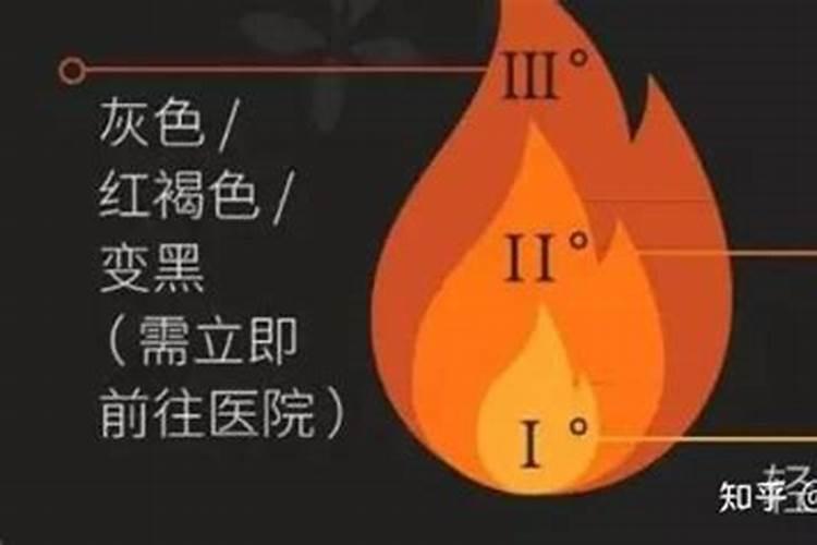 移栽意大利生菜株行距多少？