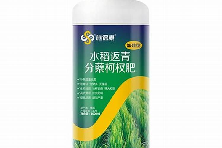 水稻缺硅要怎样救治？