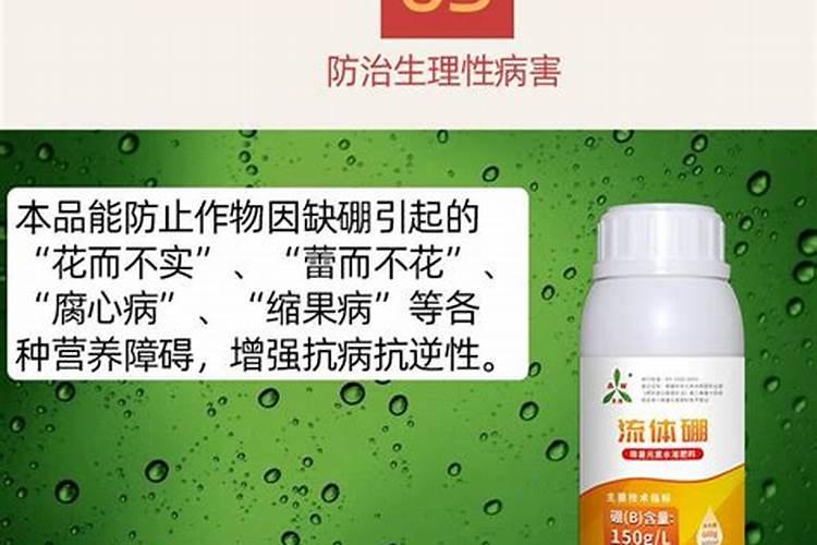 蓝莓都在什么时间段使用硼肥？