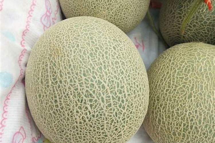 请教老师,网纹瓜什么毛病啊？该怎么办呢？