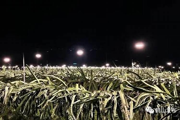 果树叶面肥喷施时间 叶面肥喷洒技巧