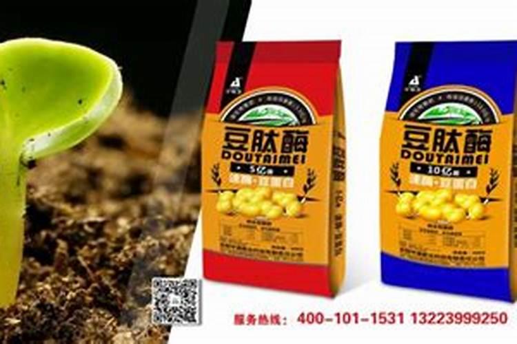 施用微量元素肥料的注意事项有哪些？