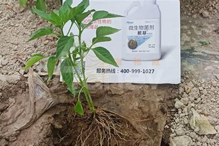 福建省南平市双丰复合肥有限公司怎么样？