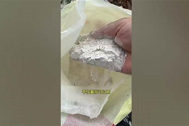 葫芦只开花不结果的原因是什么