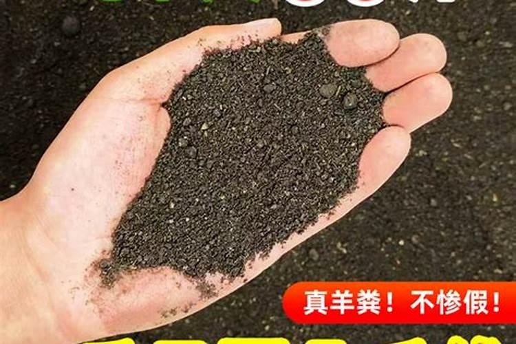 豆粕怎样发酵成有机肥