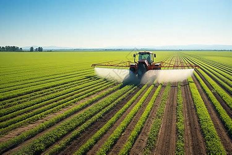 镁肥有哪些品种？如何施用？