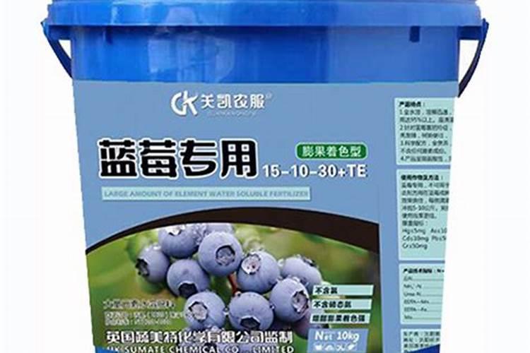 潍坊最大的哈密瓜大棚在哪里