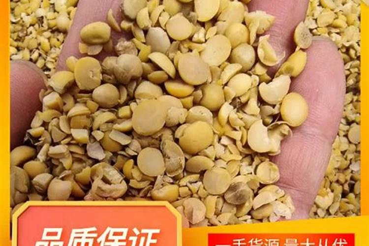 发酵黄豆做肥？