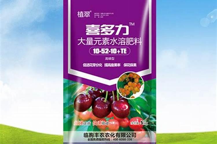 四季豆开花不结豆,什么原因导致的呢？