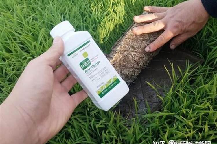 内蒙古公布抽检不合格食品!涉及风干牛肉、韭菜、绿豆芽……