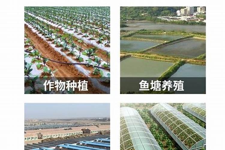 一棵果树施磷肥最简单三个步骤