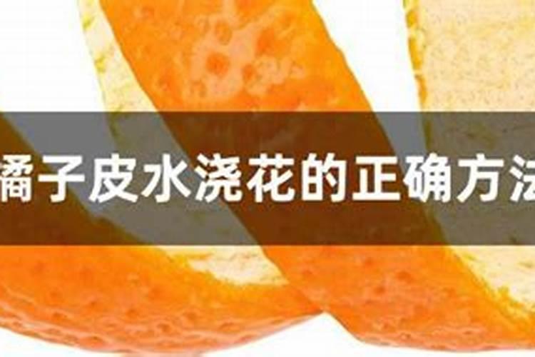 发酵水果皮属于氮肥吗