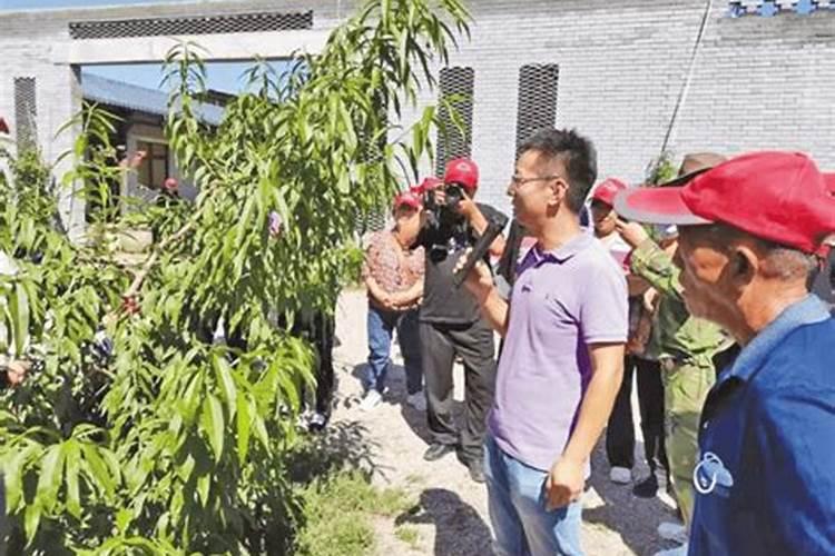 黄瓜施肥方法和注意事项 黄瓜施肥管理及注意事项