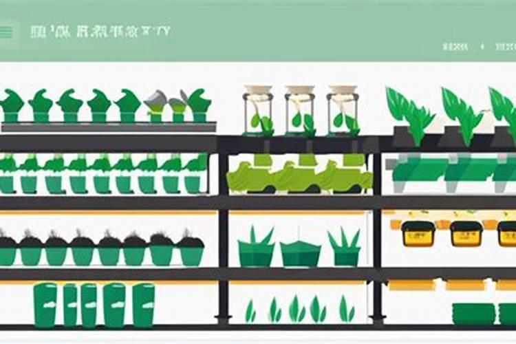 冬季大棚黄瓜栽培技术