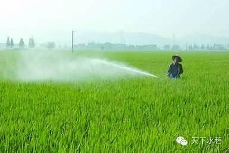 肥老头海藻肥怎么样