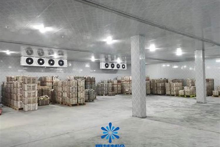 茄子怎样在冷库存放