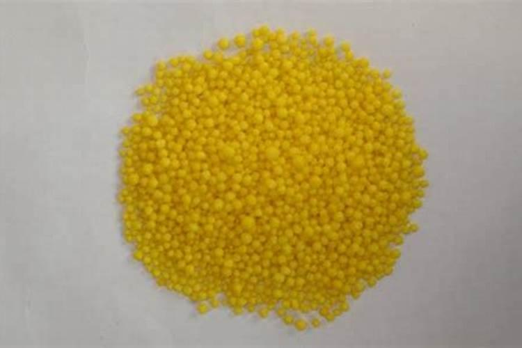 花园养护知识植物霉菌处理