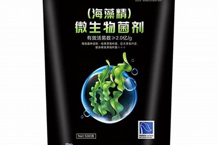盆景可以用海藻精吗？
