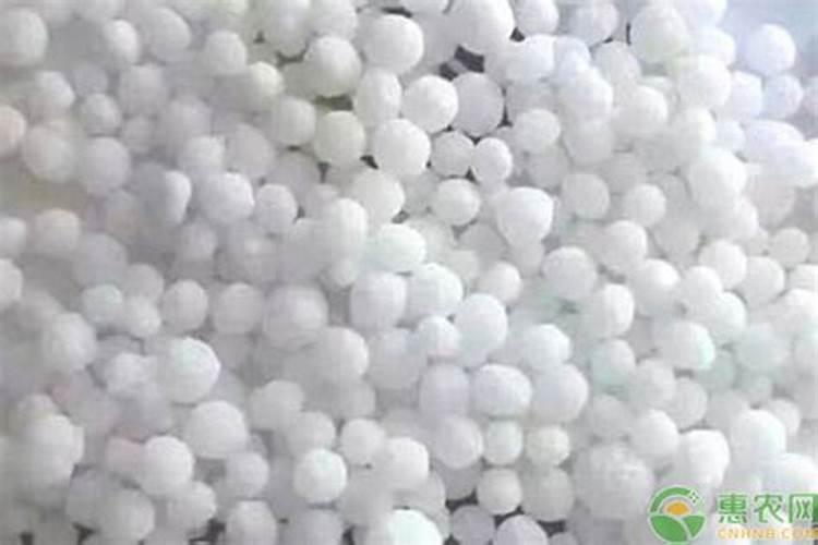 水果玉米施什么肥最好