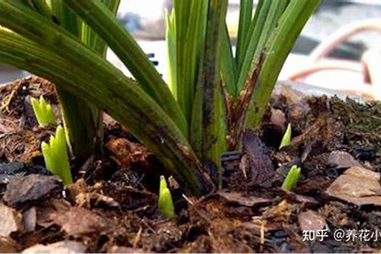 控释肥哪家好？