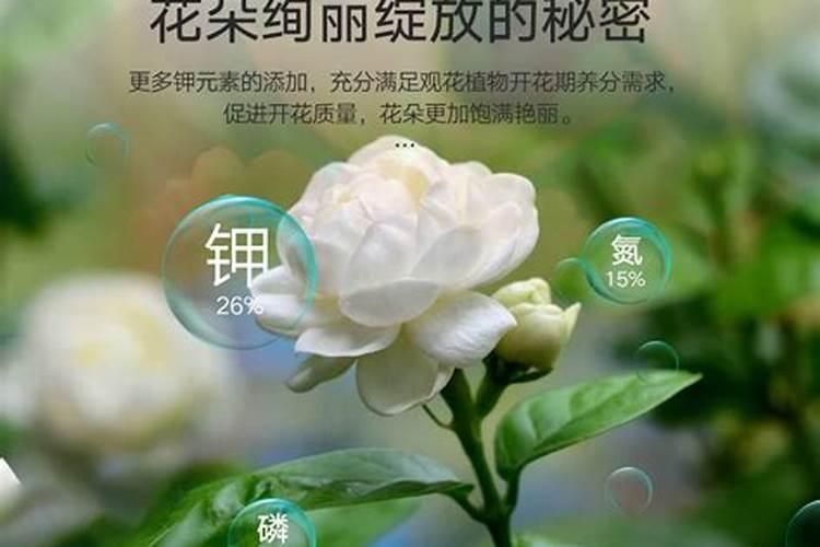 硝酸磷肥的含量及作用