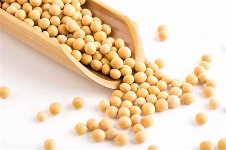 豆子煮熟后怎样发酵才能当肥料 可以当花肥吗